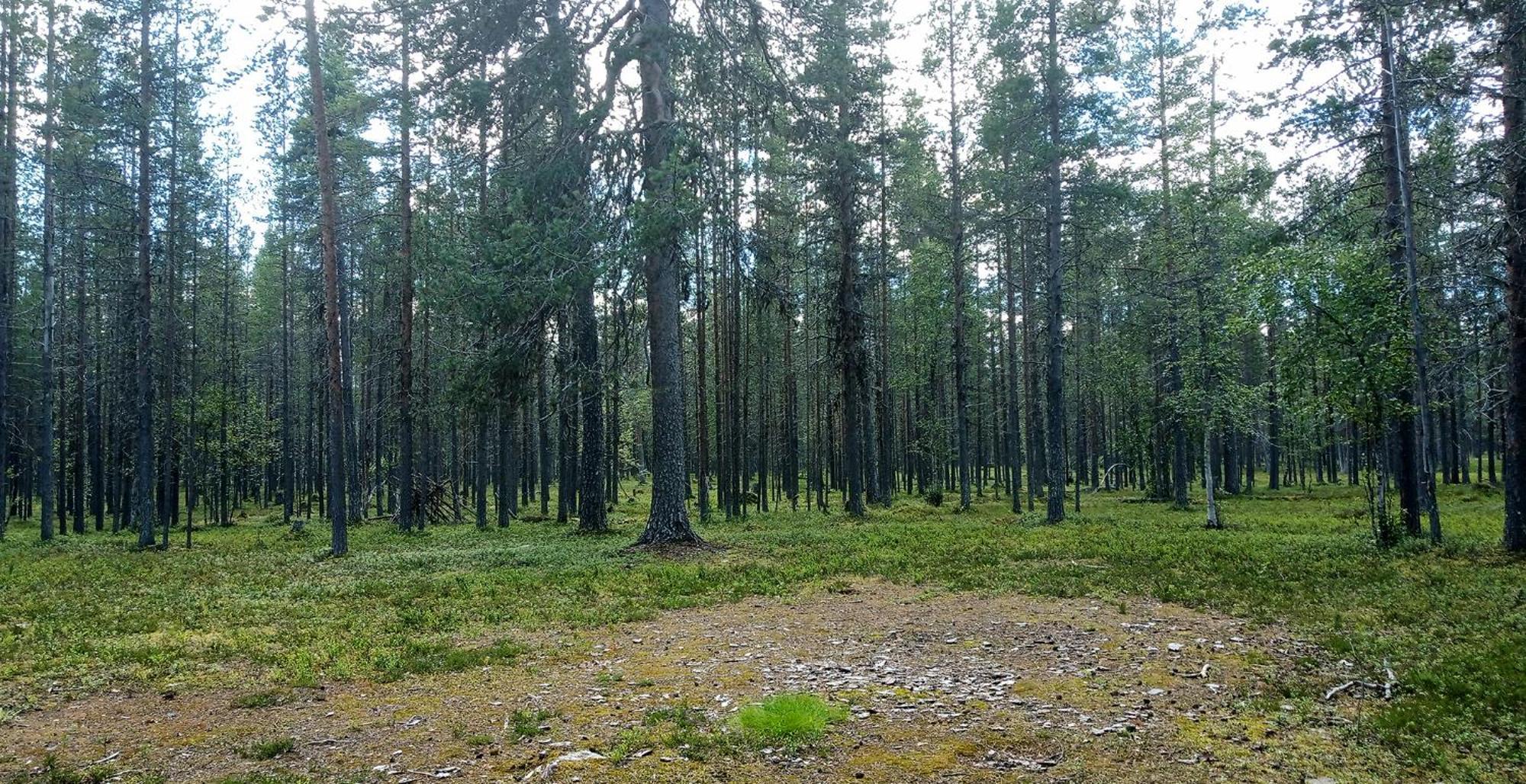 Kuukkeli Apartments Vuotso Екстер'єр фото